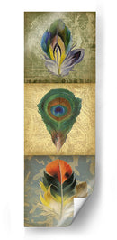 Tríptico De Plumas 2-Up Ii - Jennifer Goldberger | Cuadro decorativo de Canvas Lab