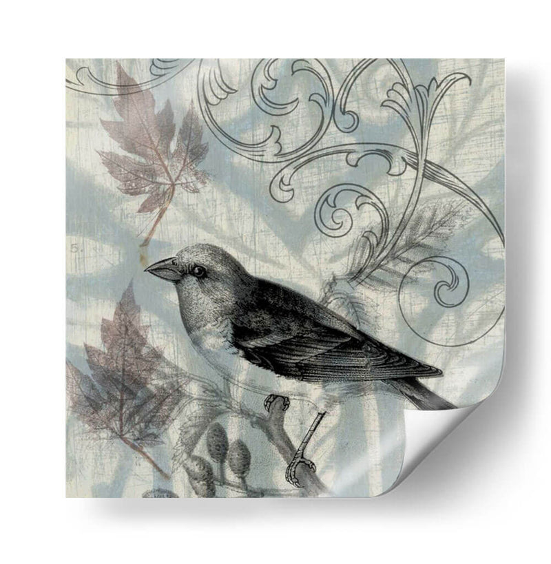 Autumn Songbird Ii - Jennifer Goldberger | Cuadro decorativo de Canvas Lab