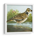 Mini Pájaros Vintage Iii | Cuadro decorativo de Canvas Lab