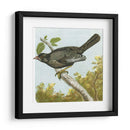 Mini Pájaros Vintage Iv | Cuadro decorativo de Canvas Lab