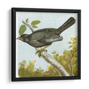 Mini Pájaros Vintage Iv | Cuadro decorativo de Canvas Lab