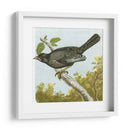 Mini Pájaros Vintage Iv | Cuadro decorativo de Canvas Lab