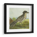 Mini Pájaros Vintage V | Cuadro decorativo de Canvas Lab