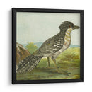 Mini Pájaros Vintage V | Cuadro decorativo de Canvas Lab