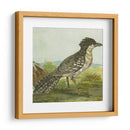 Mini Pájaros Vintage V | Cuadro decorativo de Canvas Lab