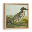 Mini Pájaros Vintage V | Cuadro decorativo de Canvas Lab