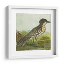 Mini Pájaros Vintage V | Cuadro decorativo de Canvas Lab