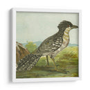 Mini Pájaros Vintage V | Cuadro decorativo de Canvas Lab