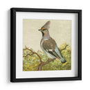 Mini Pájaros Vintage Viii | Cuadro decorativo de Canvas Lab