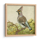 Mini Pájaros Vintage Viii | Cuadro decorativo de Canvas Lab