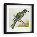 Mini Pájaros Vintage Ix | Cuadro decorativo de Canvas Lab