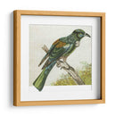 Mini Pájaros Vintage Ix | Cuadro decorativo de Canvas Lab