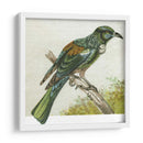 Mini Pájaros Vintage Ix | Cuadro decorativo de Canvas Lab