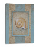 Concha Y Raya Damasco I - Rita Broughton | Cuadro decorativo de Canvas Lab