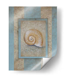 Concha Y Raya Damasco I - Rita Broughton | Cuadro decorativo de Canvas Lab