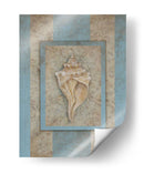 Concha Y Damask Stripe Ii - Rita Broughton | Cuadro decorativo de Canvas Lab