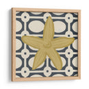 Marine Medley Iii - June Erica Vess | Cuadro decorativo de Canvas Lab