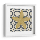 Marine Medley Iii - June Erica Vess | Cuadro decorativo de Canvas Lab