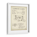 Camello Sopwith - Tara Friel | Cuadro decorativo de Canvas Lab