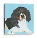 Explorar - June Erica Vess | Cuadro decorativo de Canvas Lab