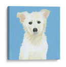 Booni - June Erica Vess | Cuadro decorativo de Canvas Lab