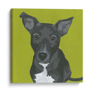 Margarita - June Erica Vess | Cuadro decorativo de Canvas Lab