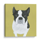 Miss Pepinillos - June Erica Vess | Cuadro decorativo de Canvas Lab