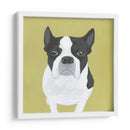 Miss Pepinillos - June Erica Vess | Cuadro decorativo de Canvas Lab