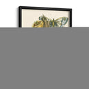 Mariposa Oasis Ii - Vision Studio | Cuadro decorativo de Canvas Lab