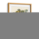 Mariposa Oasis Ii - Vision Studio | Cuadro decorativo de Canvas Lab