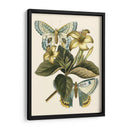 Mariposa Oasis Iv - Vision Studio | Cuadro decorativo de Canvas Lab