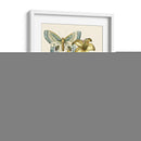 Mariposa Oasis Iv - Vision Studio | Cuadro decorativo de Canvas Lab