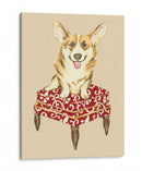 Pet Mimpered Iii - Chariklia Zarris | Cuadro decorativo de Canvas Lab