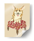 Pet Mimpered Iii - Chariklia Zarris | Cuadro decorativo de Canvas Lab