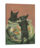 Terrier Problema Vi | Cuadro decorativo de Canvas Lab