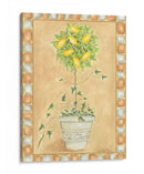 Fruta Toscana Ii - Chariklia Zarris | Cuadro decorativo de Canvas Lab