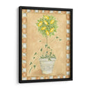 Fruta Toscana Ii - Chariklia Zarris | Cuadro decorativo de Canvas Lab