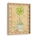 Fruta Toscana Ii - Chariklia Zarris | Cuadro decorativo de Canvas Lab