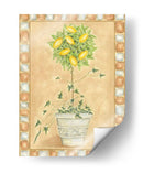 Fruta Toscana Ii - Chariklia Zarris | Cuadro decorativo de Canvas Lab