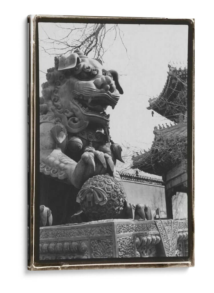 León Imperial, Beijing - Laura DeNardo | Cuadro decorativo de Canvas Lab