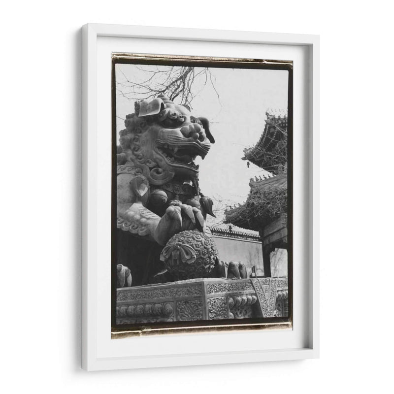 León Imperial, Beijing - Laura DeNardo | Cuadro decorativo de Canvas Lab