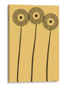 Dandy Dicromatics I - Vanna Lam | Cuadro decorativo de Canvas Lab