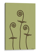 Fiddleheads Dicromático Iii - Vanna Lam | Cuadro decorativo de Canvas Lab