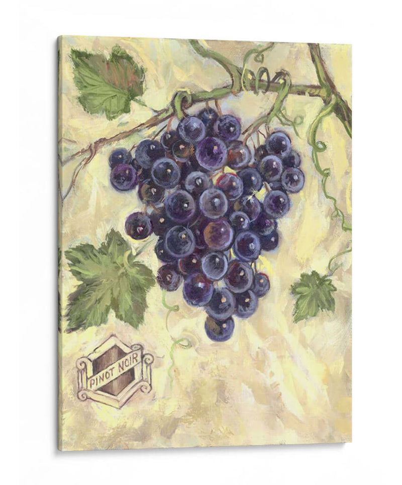 Pinot Noir - Theresa Kasun | Cuadro decorativo de Canvas Lab