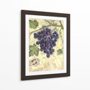 Pinot Noir - Theresa Kasun | Cuadro decorativo de Canvas Lab