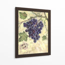 Pinot Noir - Theresa Kasun | Cuadro decorativo de Canvas Lab