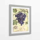 Pinot Noir - Theresa Kasun | Cuadro decorativo de Canvas Lab