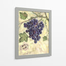 Pinot Noir - Theresa Kasun | Cuadro decorativo de Canvas Lab