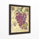 Merlot - Theresa Kasun | Cuadro decorativo de Canvas Lab