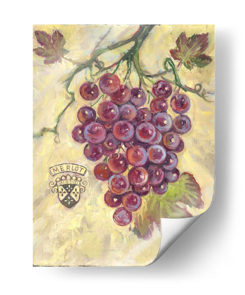 Merlot - Theresa Kasun | Cuadro decorativo de Canvas Lab